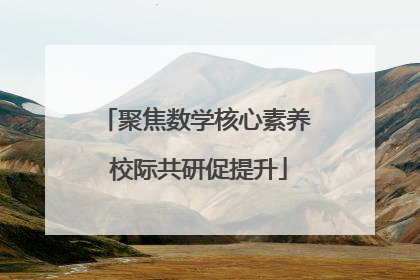 聚焦数学核心素养 校际共研促提升