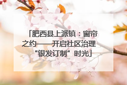 肥西县上派镇：窗帘之约——开启社区治理“银发订制”时光