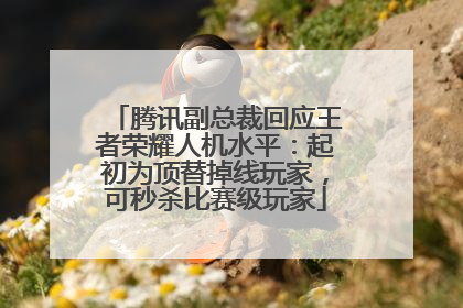 腾讯副总裁回应王者荣耀人机水平：起初为顶替掉线玩家，可秒杀比赛级玩家