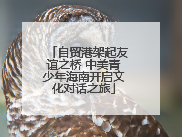 自贸港架起友谊之桥 中美青少年海南开启文化对话之旅
