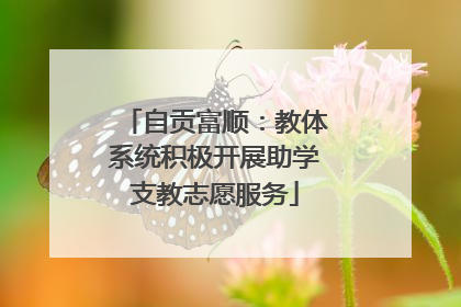 自贡富顺：教体系统积极开展助学支教志愿服务