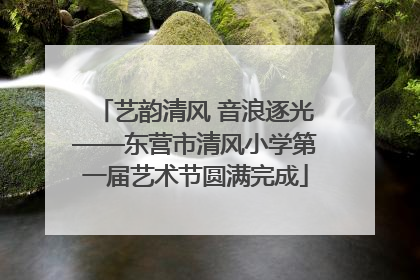 艺韵清风 音浪逐光——东营市清风小学第一届艺术节圆满完成