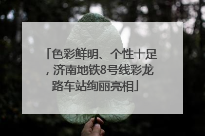 色彩鲜明、个性十足，济南地铁8号线彩龙路车站绚丽亮相
