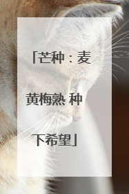 芒种：麦黄梅熟 种下希望