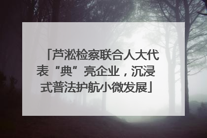 芦淞检察联合人大代表“典”亮企业，沉浸式普法护航小微发展