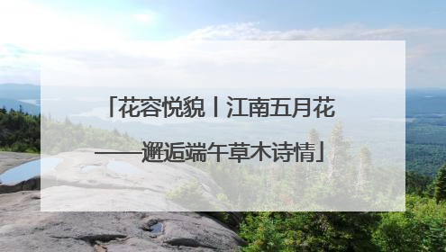 花容悦貌丨江南五月花——邂逅端午草木诗情