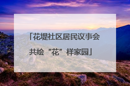 花堤社区居民议事会共绘“花”样家园