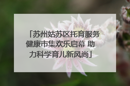 苏州姑苏区托育服务健康市集欢乐启幕 助力科学育儿新风尚