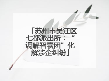 苏州市吴江区七都派出所：“调解智囊团”化解涉企纠纷