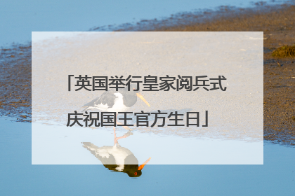 英国举行皇家阅兵式庆祝国王官方生日