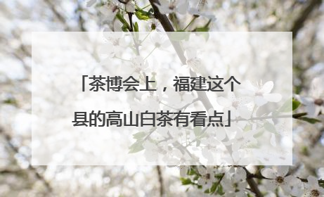 茶博会上，福建这个县的高山白茶有看点