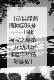 萌娃绿茵播种足球梦——LHK福宝之星第三届幼儿足球嘉年华精彩绽放