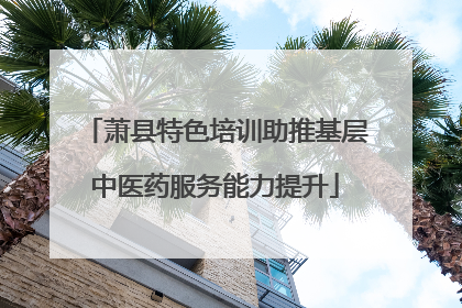 萧县特色培训助推基层中医药服务能力提升