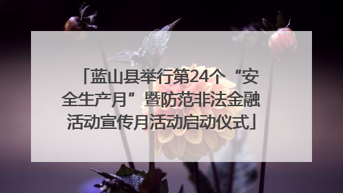 蓝山县举行第24个“安全生产月”暨防范非法金融活动宣传月活动启动仪式