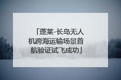 蓬莱-长岛无人机跨海运输场景首航验证试飞成功