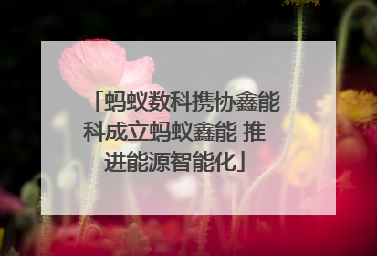蚂蚁数科携协鑫能科成立蚂蚁鑫能 推进能源智能化