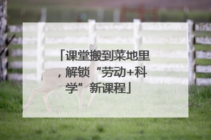 课堂搬到菜地里，解锁“劳动+科学”新课程