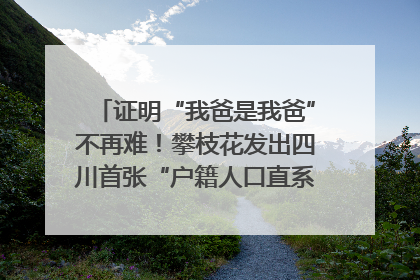 证明“我爸是我爸”不再难！攀枝花发出四川首张“户籍人口直系亲属关系谱”