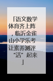 语文数学体育齐上阵，临沂金雀山小学乐考让素养测评“活”起来