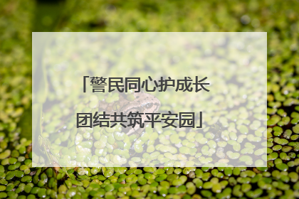 警民同心护成长 团结共筑平安园
