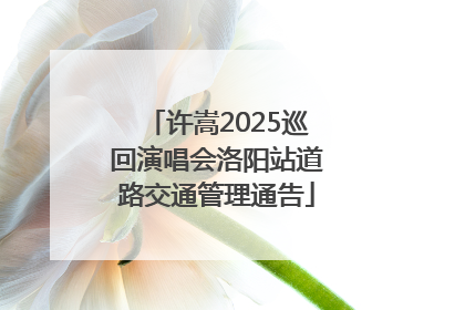 许嵩2025巡回演唱会洛阳站道路交通管理通告