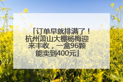 订单早就排满了！杭州萧山大棚杨梅迎来丰收，一盒96颗能卖到400元