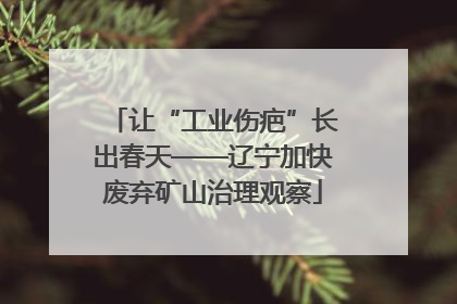 让“工业伤疤”长出春天——辽宁加快废弃矿山治理观察