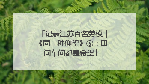 记录江苏百名劳模｜《同一种仰望》⑤：田间车间都是希望
