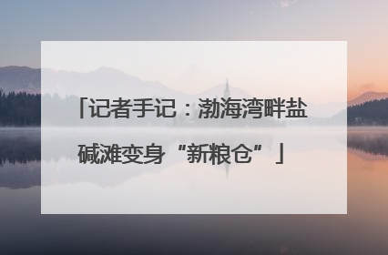 记者手记：渤海湾畔盐碱滩变身“新粮仓”