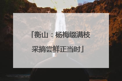 衡山：杨梅缀满枝 采摘尝鲜正当时