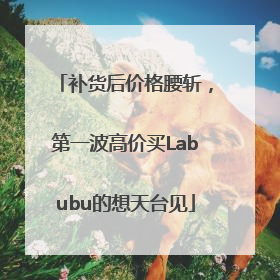 补货后价格腰斩，第一波高价买Labubu的想天台见