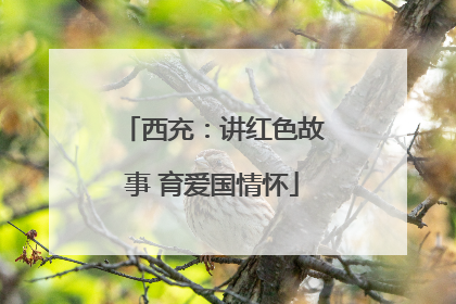 西充：讲红色故事 育爱国情怀