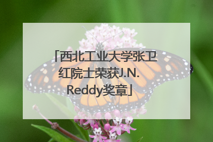 西北工业大学张卫红院士荣获J.N.Reddy奖章