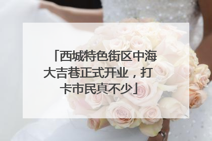 西城特色街区中海大吉巷正式开业，打卡市民真不少