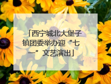 西宁城北大堡子镇团委举办迎“七一”文艺演出