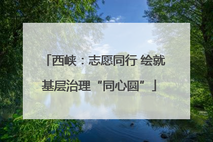 西峡：志愿同行 绘就基层治理“同心圆”
