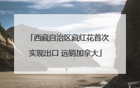 西藏自治区藏红花首次实现出口 远销加拿大