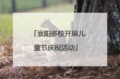 襄阳多校开展儿童节庆祝活动