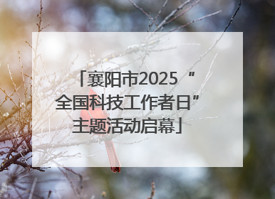 襄阳市2025“全国科技工作者日”主题活动启幕