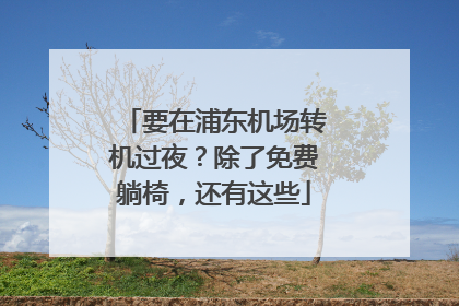 要在浦东机场转机过夜？除了免费躺椅，还有这些