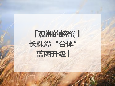 观潮的螃蟹丨长株潭“合体”蓝图升级