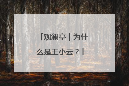 观澜亭｜为什么是王小云？