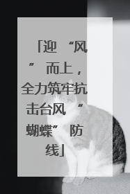 迎 “风” 而上，全力筑牢抗击台风 “蝴蝶” 防线