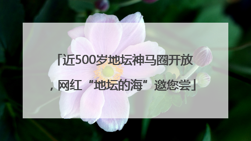 近500岁地坛神马圈开放，网红“地坛的海”邀您尝