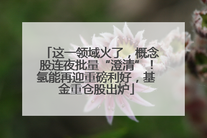 这一领域火了，概念股连夜批量“澄清”！氢能再迎重磅利好，基金重仓股出炉