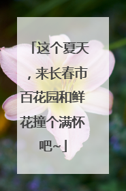 这个夏天，来长春市百花园和鲜花撞个满怀吧~