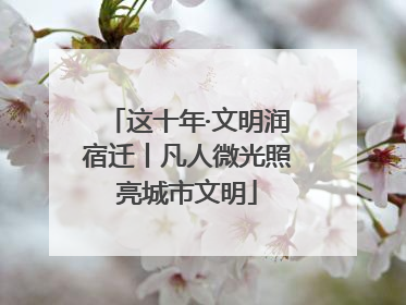这十年·文明润宿迁丨凡人微光照亮城市文明