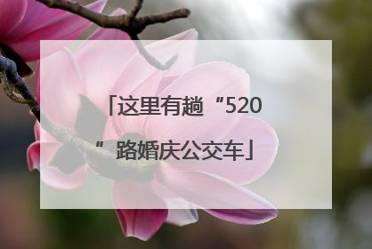 这里有趟“520”路婚庆公交车