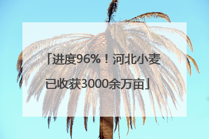 进度96%！河北小麦已收获3000余万亩