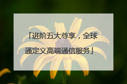 进阶五大尊享，全球通定义高端通信服务